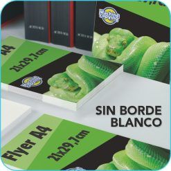 Flyer en A4 a sangre sin borde blanco
